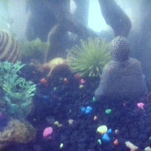 IMG_20171226_203614.jpg