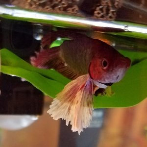 20180112_181148.jpg