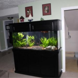 tank1'.jpg
