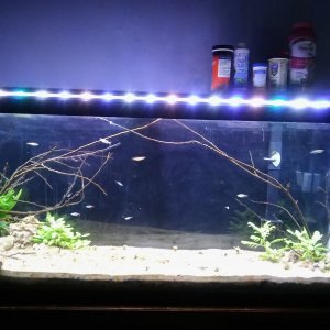 20180124_175943.jpg