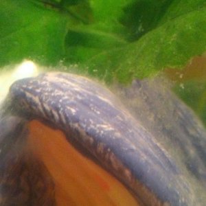 20180207_221231.jpg