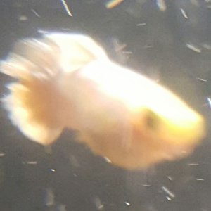 20180209_002317.jpg
