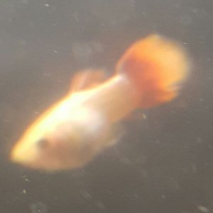 20180209_002423.jpg