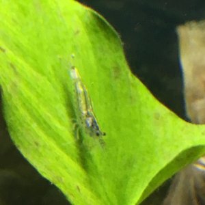 IMG_6344.JPG