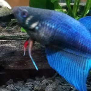 20180314_101737.jpg