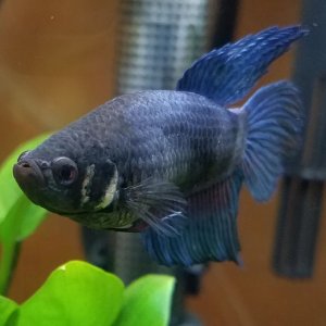 20180314_100741.jpg