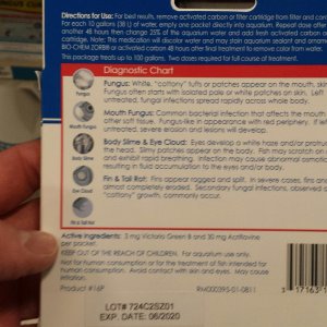 20171203_154458.jpeg