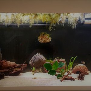 20180321_115630.jpg