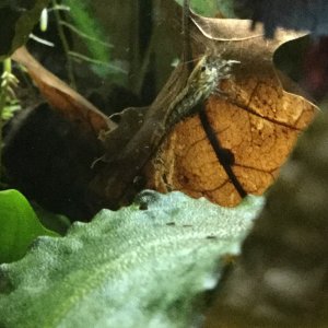 IMG_2774.JPG