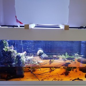 20180411_121123.jpg