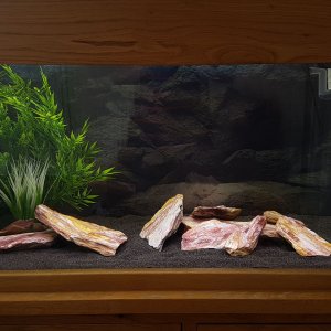 20180421_125149.jpg