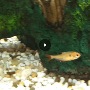 Screenshot_20180422-091525.png