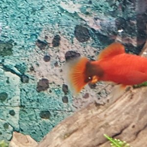 20180422_182309_001.jpg
