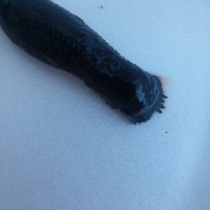20180425_074147.jpg