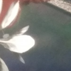 20180425_175503.jpg
