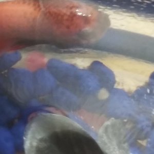 20180425_175428.jpg