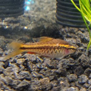 20180426_202401.jpg