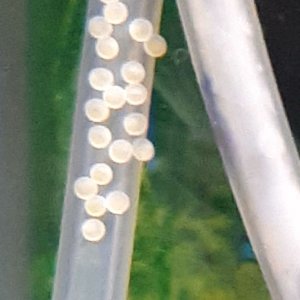 20180520_195712.jpg