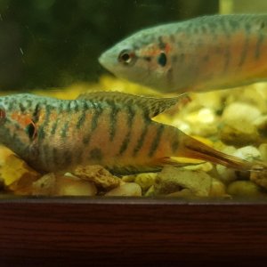 20180529_184618-2016x1134.jpg