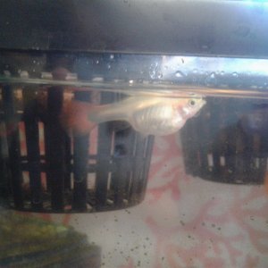 20180605_084319.jpg