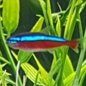 20180604_215304.jpg