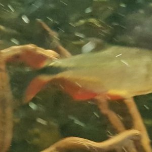 20180609_105418.jpg