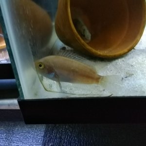 IMG_20180611_080631.jpg