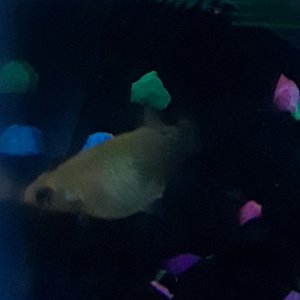 20180611_184257.jpg