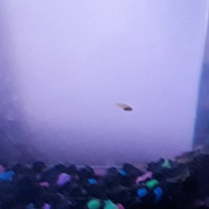 20180617_064732.jpg