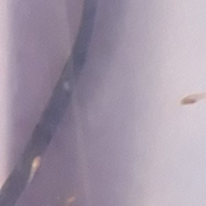 20180617_064455.jpg