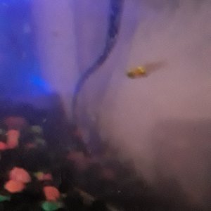 20180616_225854.jpg