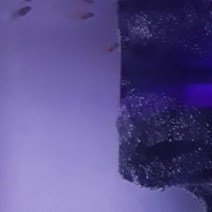 20180617_064743.jpg