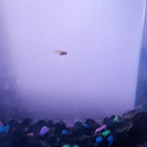 20180617_064730.jpg