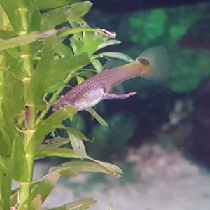 20180620_170637.jpg