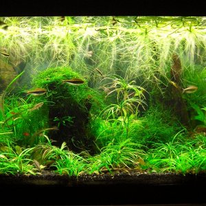 70g Nov 28-12.JPG