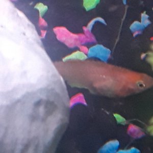 20180624_173232.jpg