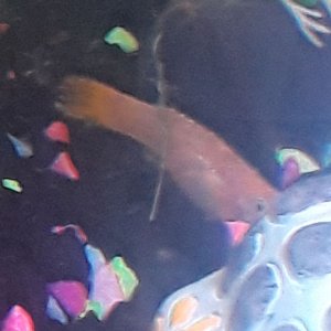 20180624_193906.jpg