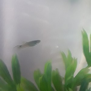 20180624_111406.jpg