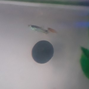 20180624_195229.jpg
