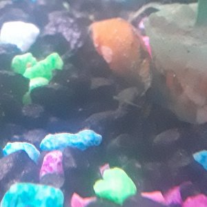 20180624_193609.jpg