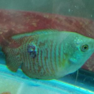 20180628_074719.jpg