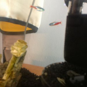 WIN_20180701_154041.JPG