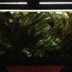 7-2-18.JPG