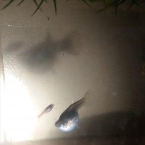 20180726_204253.jpg