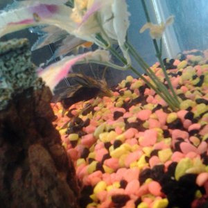 20180810_103940.jpg