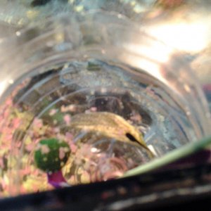 20180810_103853.jpg