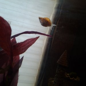 20180810_103804.jpg