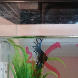 20180818_165532.jpg