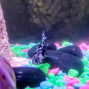 20180820_114148~2.jpg