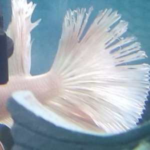 20180823_230445.jpg